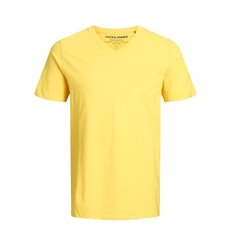 JJEORGANIC BASIC TEE SS V-NECK